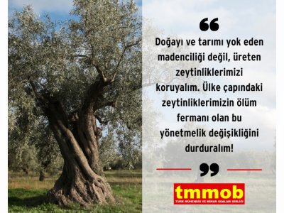 <BR><BR>DOĞAYI VE TARIMI YOK EDEN MADENCİLİĞİ DEĞİL ÜRETEN ZEYTİNLİKLERİMİZİ KORUYALIM